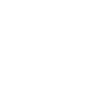 Puma.png