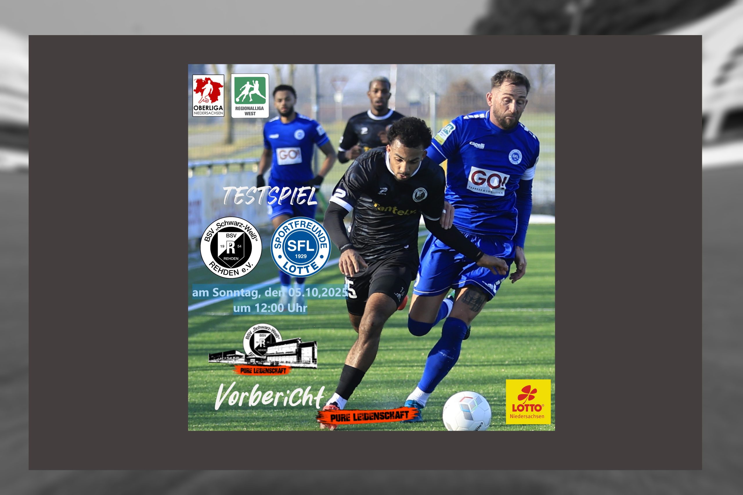Test: BSV Rehden vs. Sportfreunde Lotte