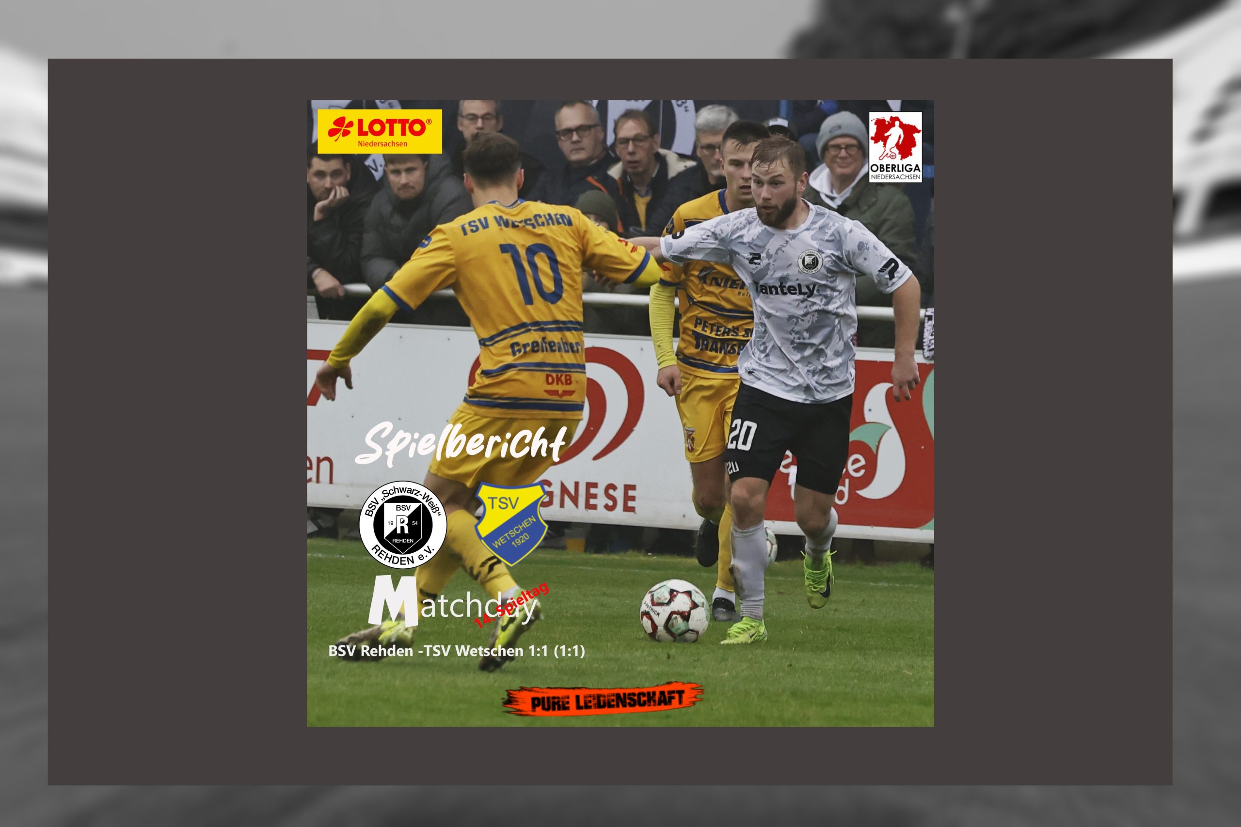 ***Ganze Samtgemeinde Rehden elektrisiert***